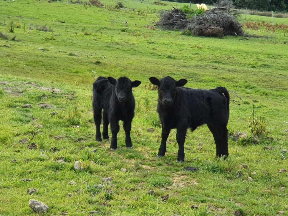 Ruby'S Cottage Farm Stay 포트아서 외부 사진